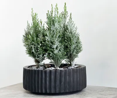 Xlboom Tableware Black Uni In Black