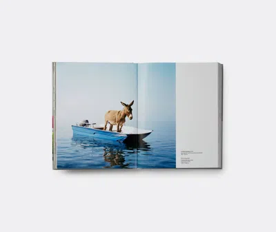 Phaidon Books And City Guides Multi Uni In Multi