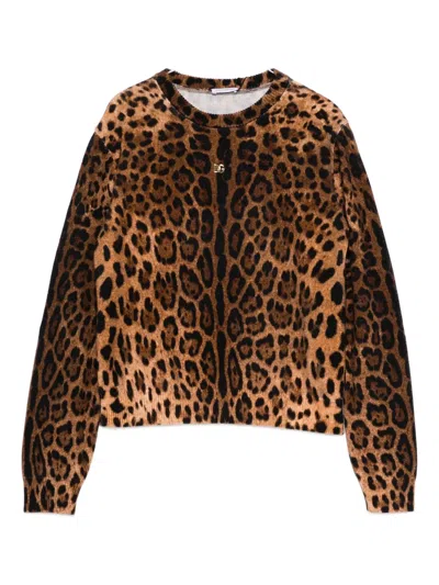 Dolce & Gabbana Leopard-print Crew-neck Pullover In Animal Print