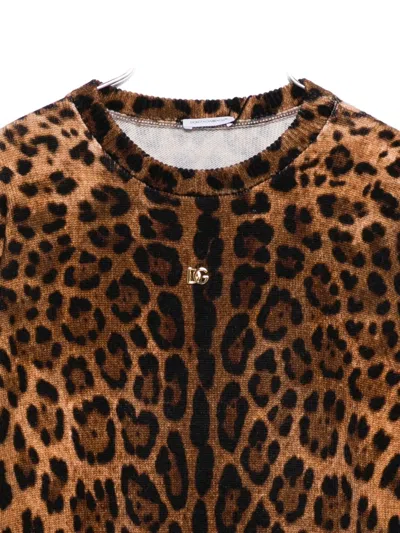 Dolce & Gabbana Leopard-print Crew-neck Pullover In Animal Print