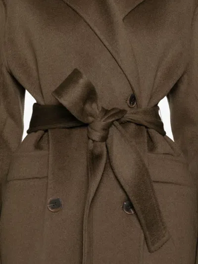 The Dynamis Studio Belted Single-breasted Coat In Brown