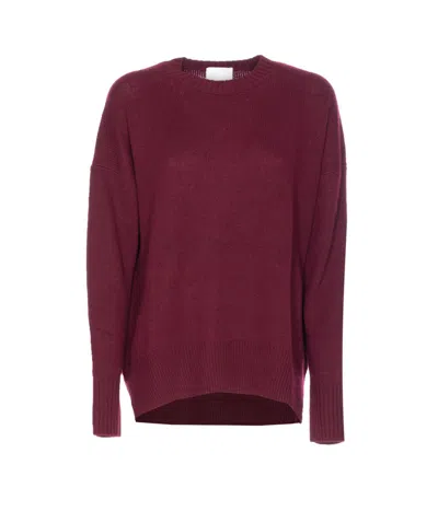 Allude Crew-neck Ribbed-knit Sweater In Burgundy