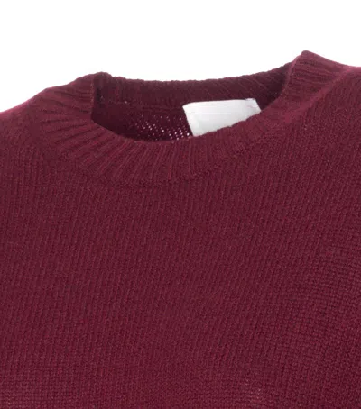 Allude Crew-neck Ribbed-knit Sweater In Burgundy