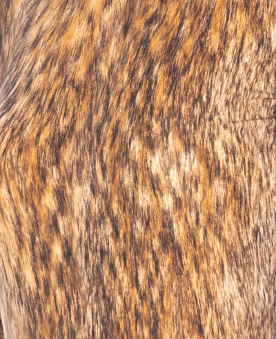 Mm6 Maison Margiela Long Sleeves Body In Animal Print
