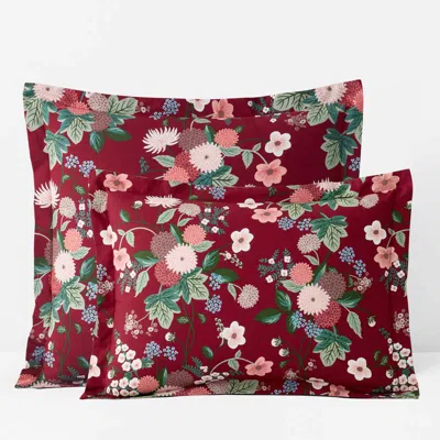 The Company Store Dahlia Classic Cool Cotton Percale Sham In Multi