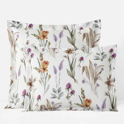 The Company Store Stem Florals Premium Smooth Wrinkle-free Sateen Sham In Multi