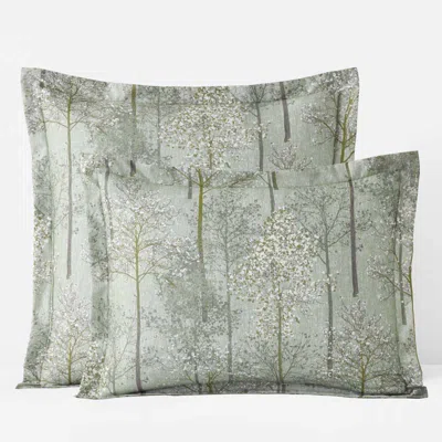 The Company Store Enchanted Trees Premium Smooth Wrinkle-free Sateen Sham In Green