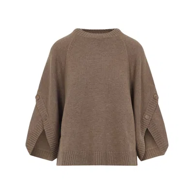 Max Mara Virgin Wool Cashmere Blend Sweater In Brown