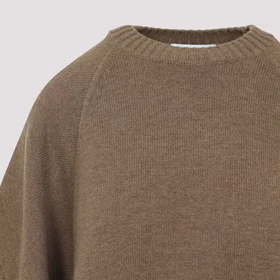 Max Mara Virgin Wool Cashmere Blend Sweater In Brown