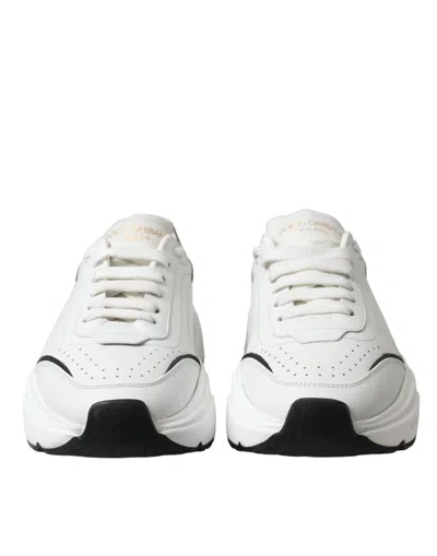 Dolce & Gabbana White Black Low Top Daymaster Sneakers Women's Shoes In Multi