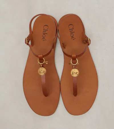 Chloé Chloe Women Caramel Leather Chloe Charms Thong Sandals In Brown