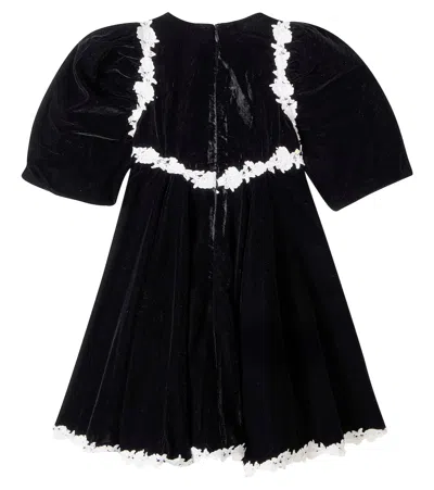 Petite Amalie Lace-trimmed Velvet Dress In Black