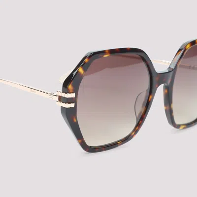 Chopard Brown Acetate Sunglasses In Multi