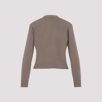 Fabiana Filippi Virgin Wool Crew Neck Cardigan In Brown