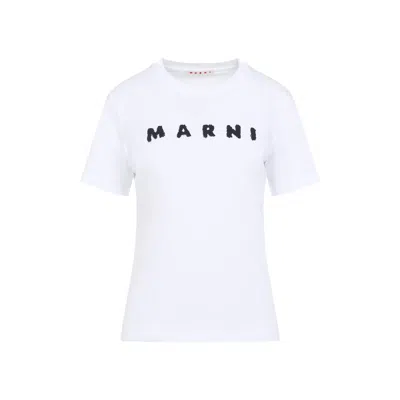 Marni Jersey Logo Short Sleeved T-shirt In White