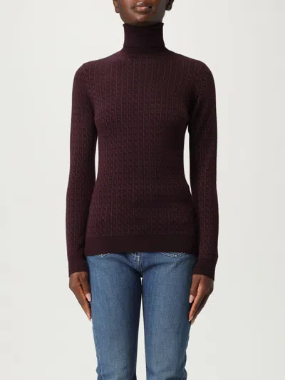 Elisabetta Franchi Tricot Sweater In Brown
