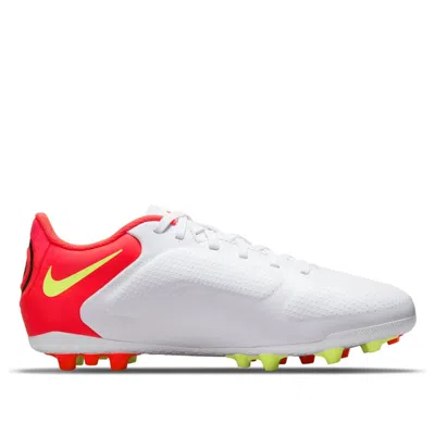 Nike (gs)  Jr Legend 9 Academy Ag Artificial Grass In Multi