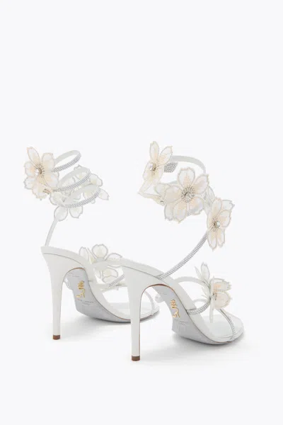 René Caovilla Leather Floral Embroidered Crystal Sandals In White