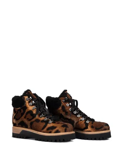 Le Silla Leopard-print Lace-up Boots In Brown