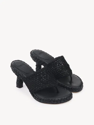 Chloé Isla Crochet Raffia And Leather Thong Sandals In Black