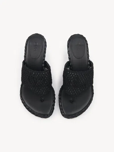 Chloé Isla Crochet Raffia And Leather Thong Sandals In Black