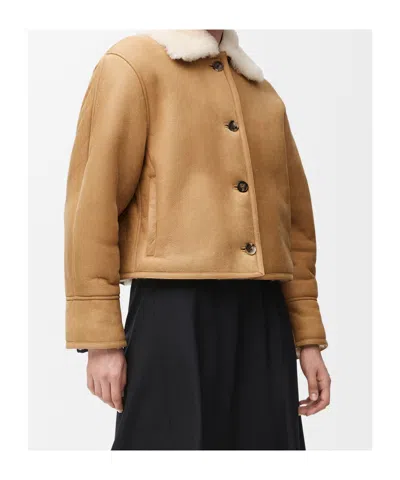 Loewe Camel-coloured Shearling Jacket Women In Brown