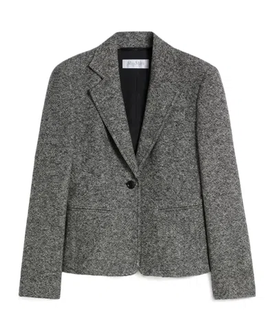 Max Mara Salmone Virgin Wool Blend Blazer In Gray