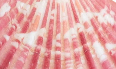 Adornia Pink Shell And Shell Pearl 2-drop Earrings In Pink