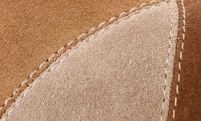 Seychelles Whammy Platform Clog In Multi