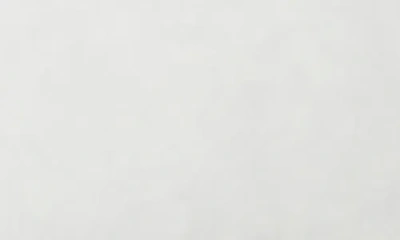 Coyuchi Recycled Feather & Down Lumbar Pillow Insert In White