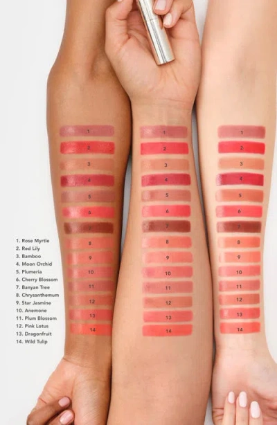 Chantecaille Lip Creme In Pink