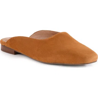 Seychelles Prim & Proper Mule In Brown