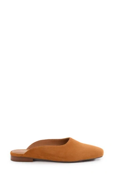 Seychelles Prim & Proper Mule In Brown