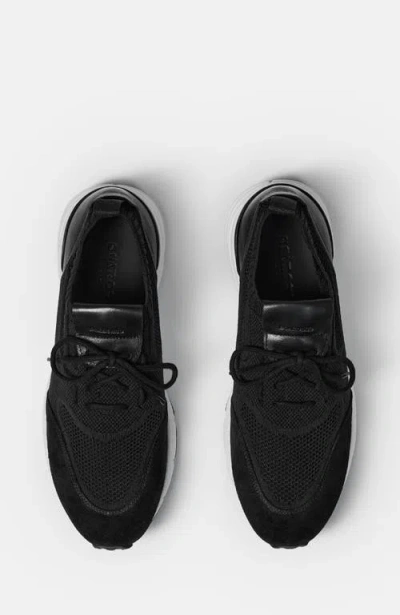 Scarosso Robbie Knitted Lace-up Sneakers In Black