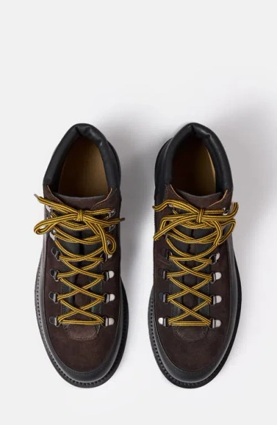 Scarosso Leather Suede Lace-up Boots In Brown