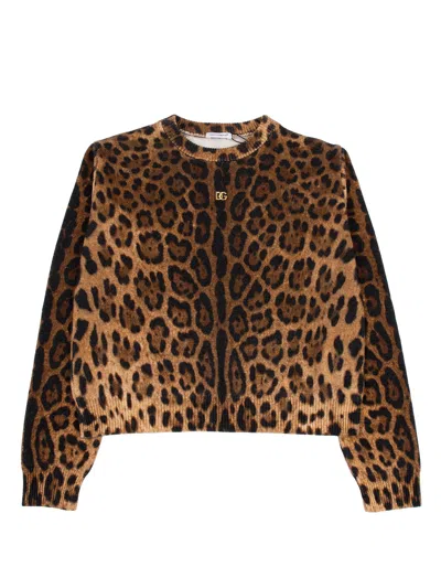 Dolce & Gabbana Leopard-print Crew-neck Pullover In Brown