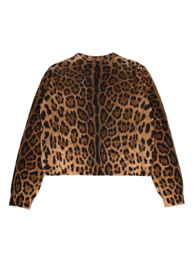 Dolce & Gabbana Leopard-print Crew-neck Pullover In Brown