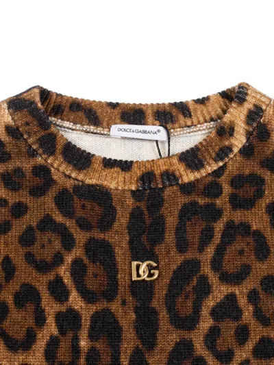 Dolce & Gabbana Leopard-print Crew-neck Pullover In Brown