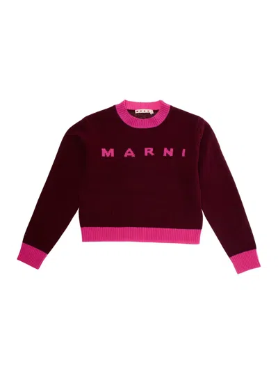 Marni L And Cashmere Sweater With Logo Kids In Brown