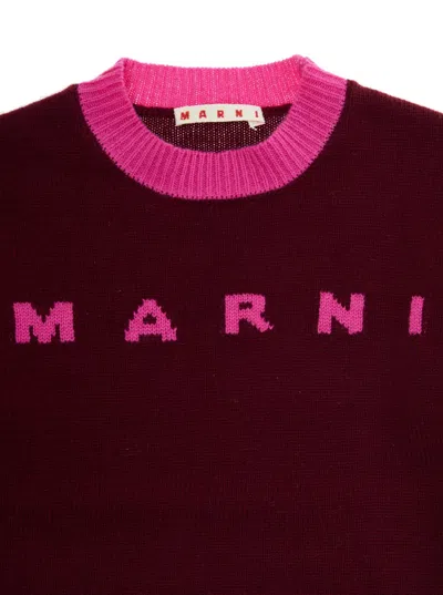Marni L And Cashmere Sweater With Logo Kids In Brown