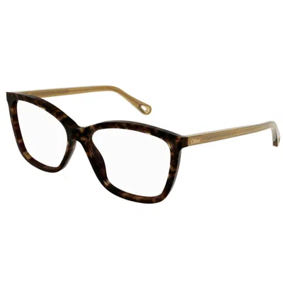 Chloé Ch0118o002 Havana Brown Transpar In Brown