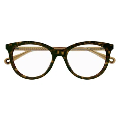 Chloé Ch0117o002 Havana Brown Transpar In Brown