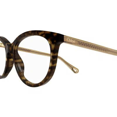 Chloé Ch0117o002 Havana Brown Transpar In Brown