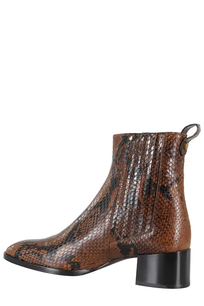 Roberto Festa Leda Ankle Boot In Brown