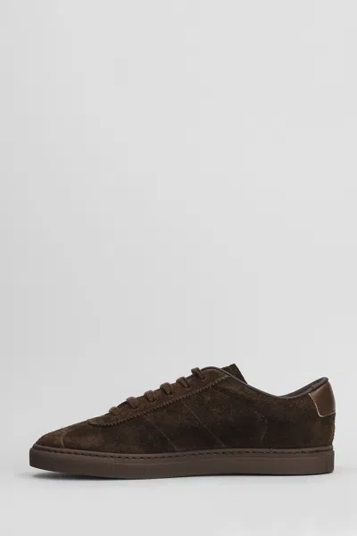 Common Projects Field Trainer Sneakers In Brown Suede In Brown
