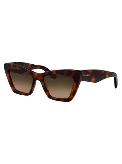 Ferragamo Brown Tortoise Acetate Sunglasses In Brown
