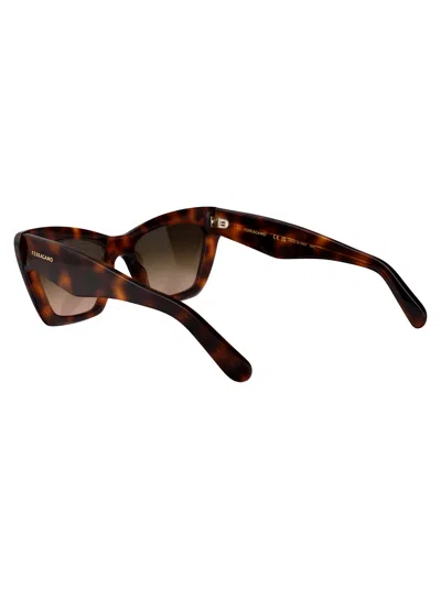 Ferragamo Brown Tortoise Acetate Sunglasses In Brown