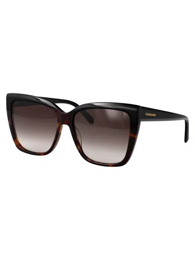 Ferragamo Sf1102s Sunglasses In Brown