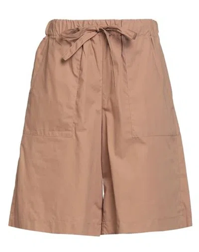 Babel Woman Shorts & Bermuda Shorts Light Brown Size M/l Cotton In Brown