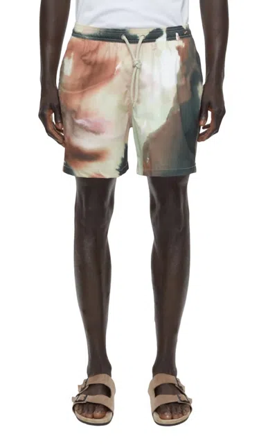 Closed Swimming Shorts In Sage Tea In Multi